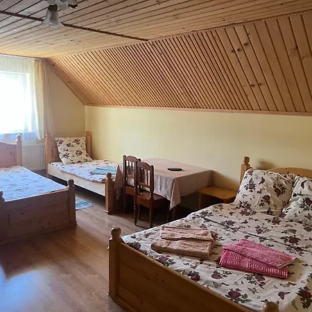 Gemuetlich Haus Guest house