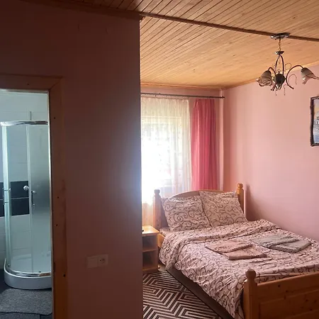 Gemuetlich Haus 3* Jasinja